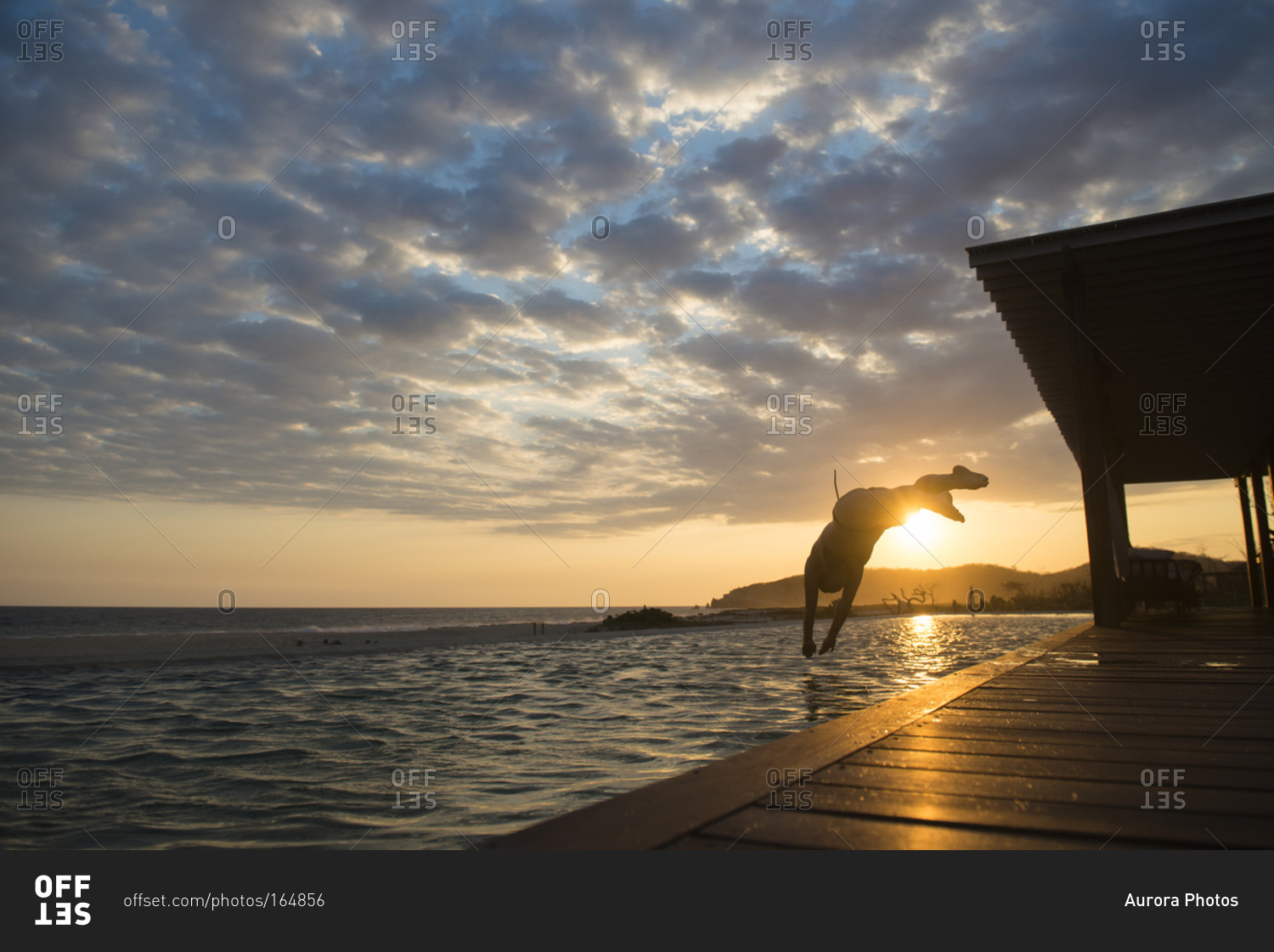 Woman diving to a pool at sunset in a small hotel in the coast of Oaxaca, Mexico