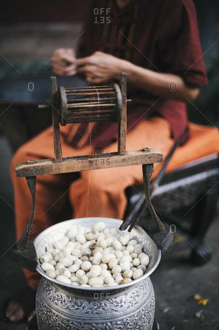 Person processing silk cocoons