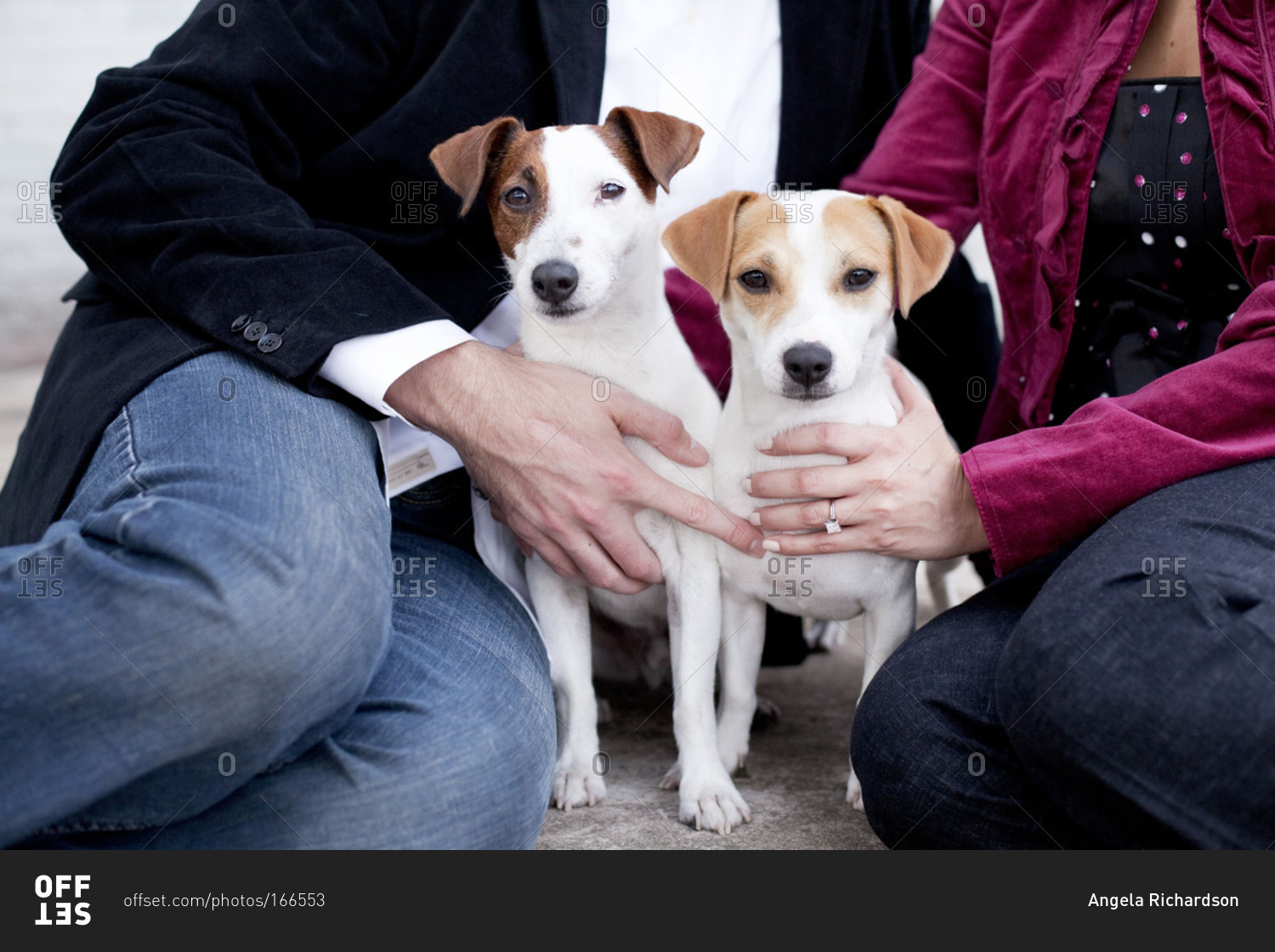Man and woman holding pet dogs