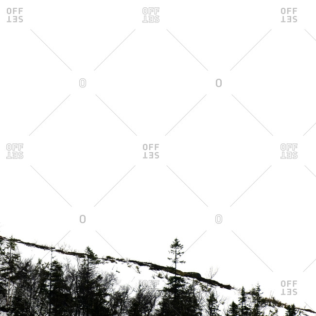 Bleak winter landscape - Offset Collection