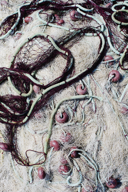 tangled fishing line