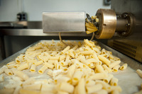 Pasta maker holding freshly made rigatoni stock photo - OFFSET