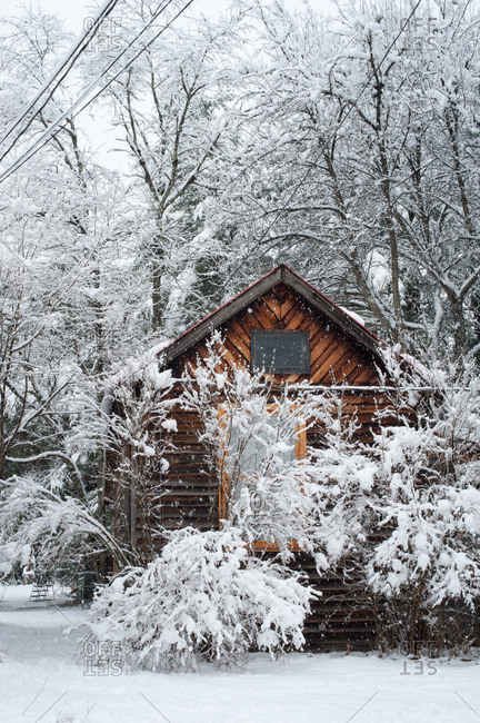 Cabin In The Snowy Woods Stock Photo Offset