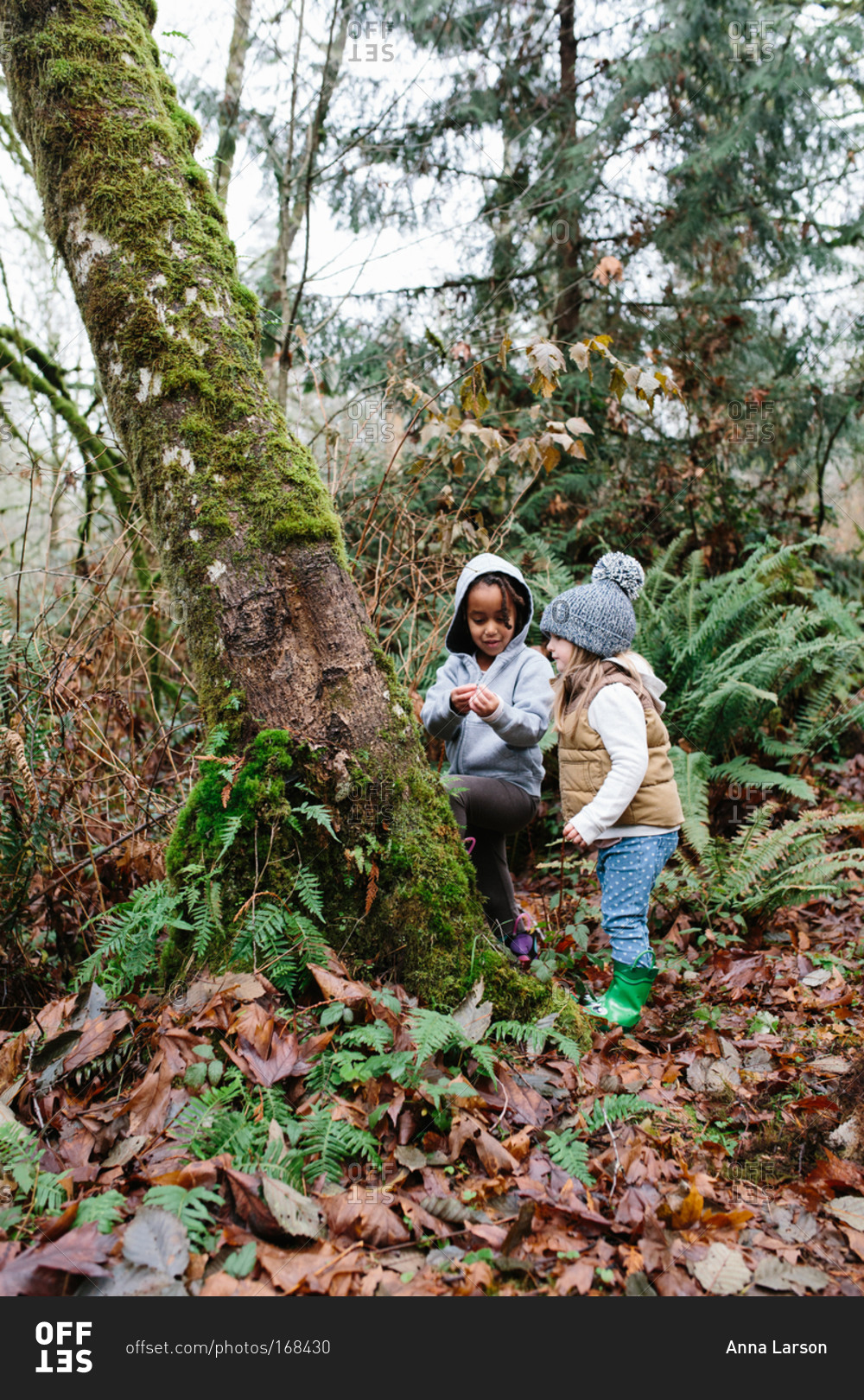Two young girls examine a moss-covered tree in a misty forest