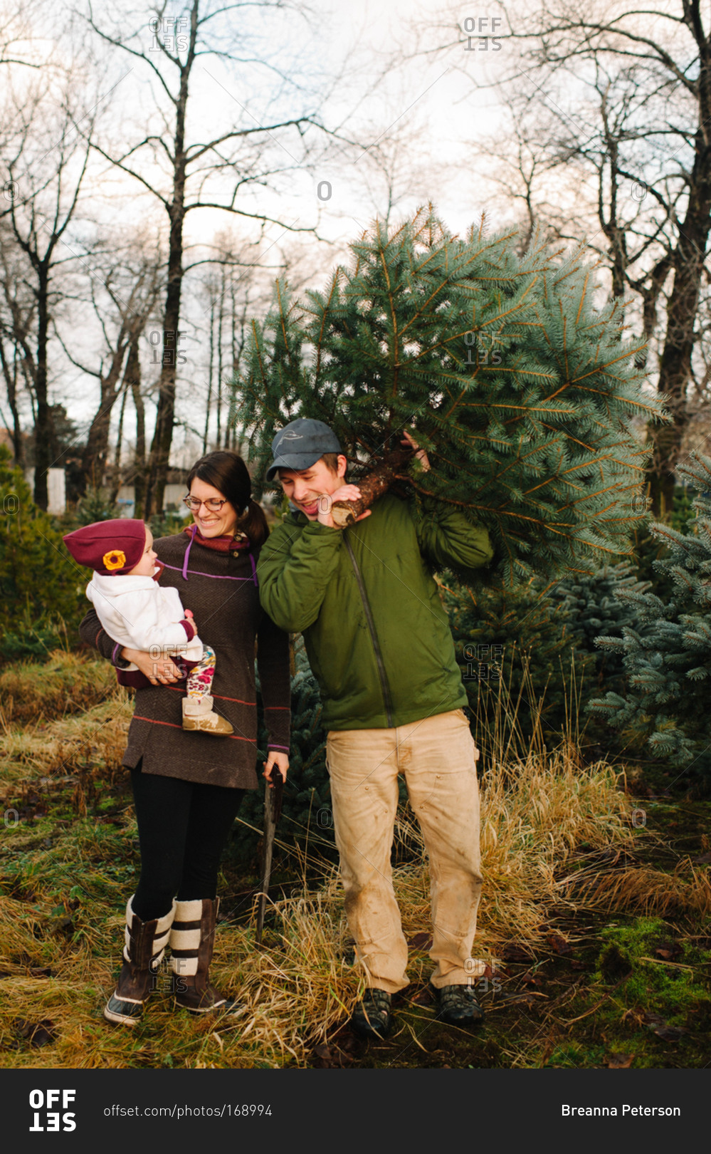 Family buying a Christmas tree at a pick-your-own farm