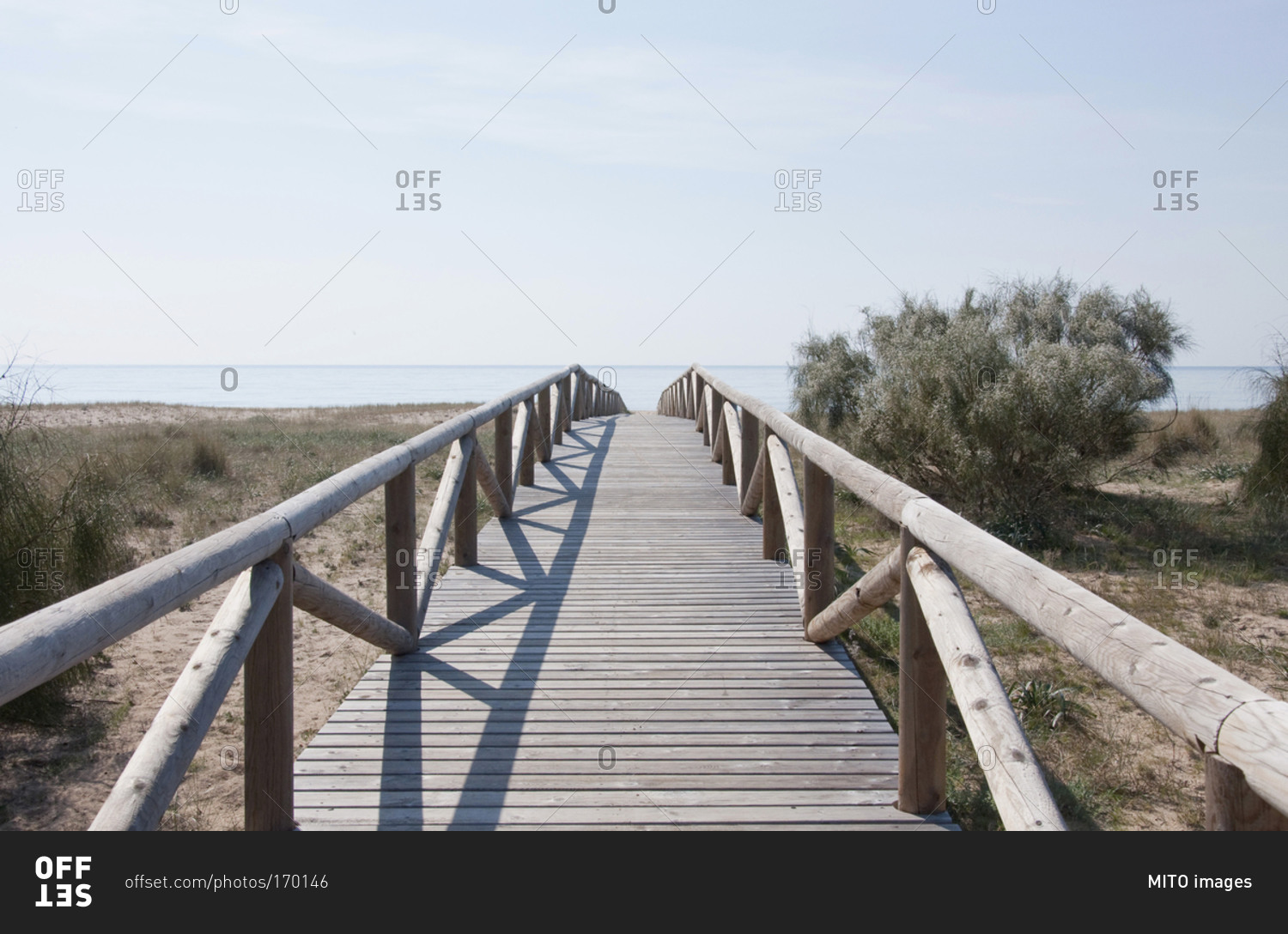 View of boardwalk with blooming gorse at beach near Atlantic ocean, La Brena, Andalusia, Spain