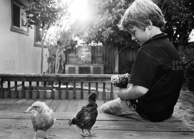 Boy holding chicken sitting on a bench