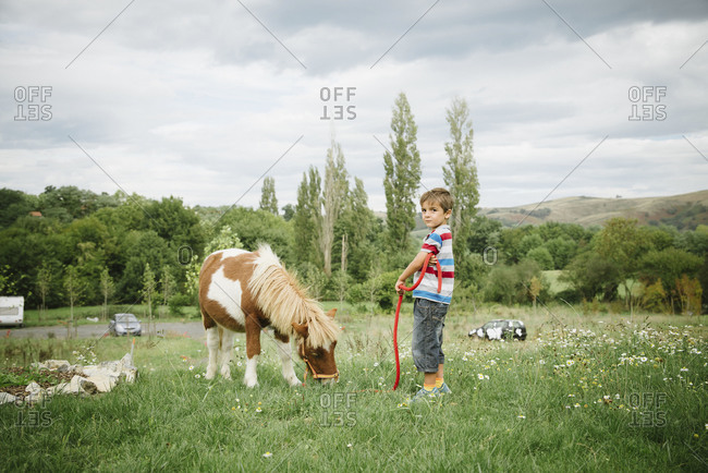Young boy holding a miniature horse's rope lead