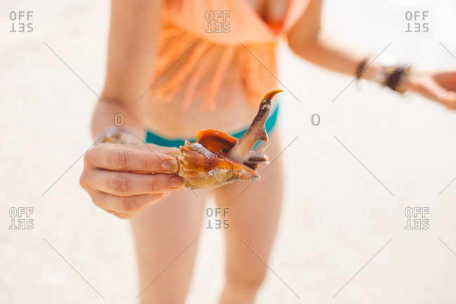 A woman holds a snail in a shell on the beach