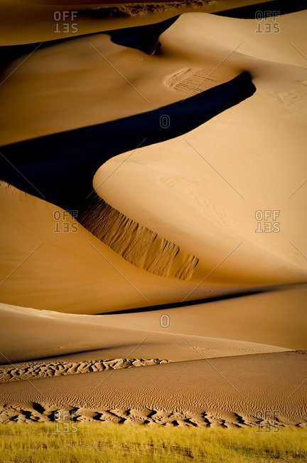 Yellow grass and dunes at Great Sand Dunes National Park, Alamosa, Colorado, USA