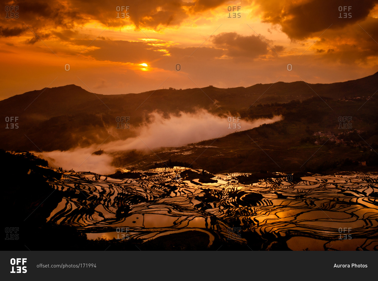 Rice terrace field at sunset in Yuanyang, Yunnan, China