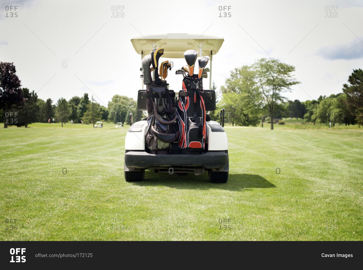 Golf cart from behind in a golf course