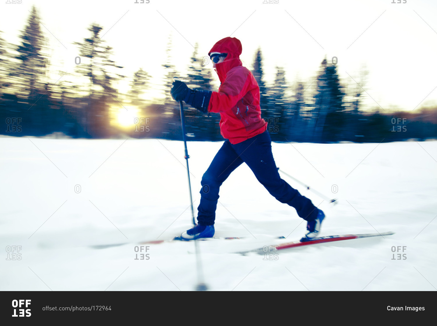 Cross country skier on trail