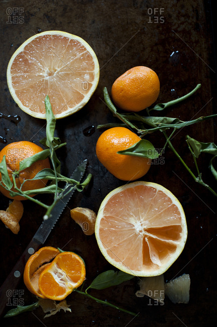 Oranges and grapefruit