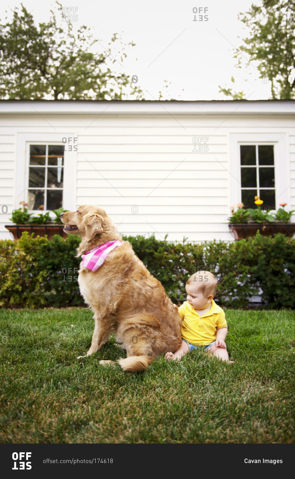 Baby with family dog in yard