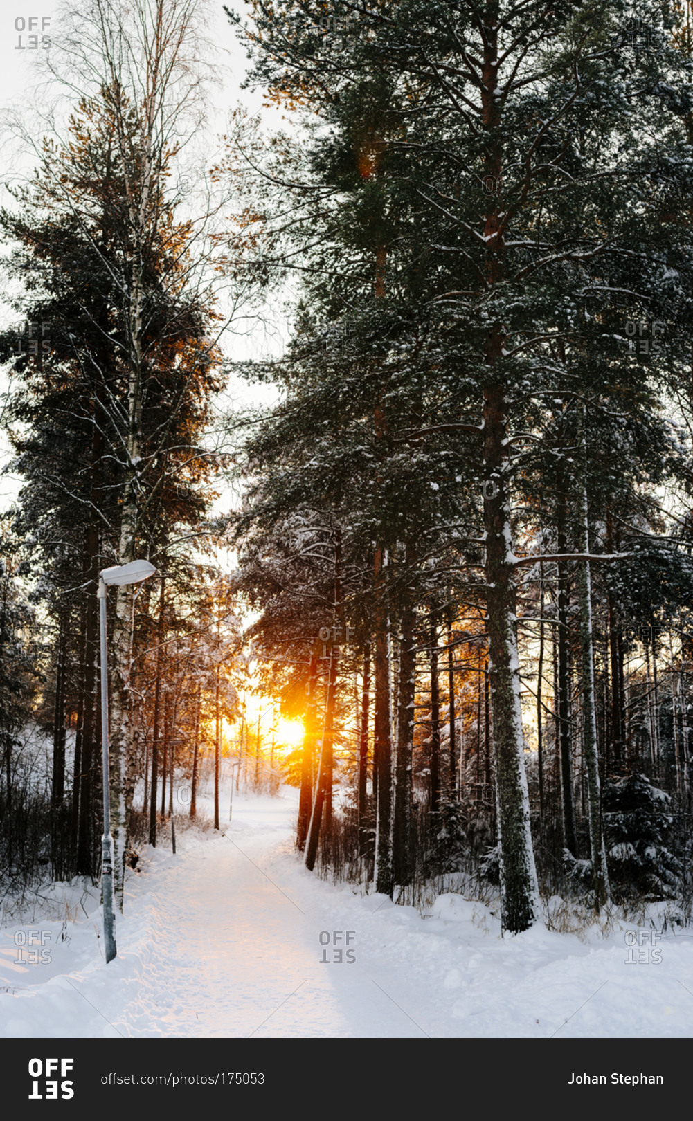 The sun setting over a snow trail in Sweden