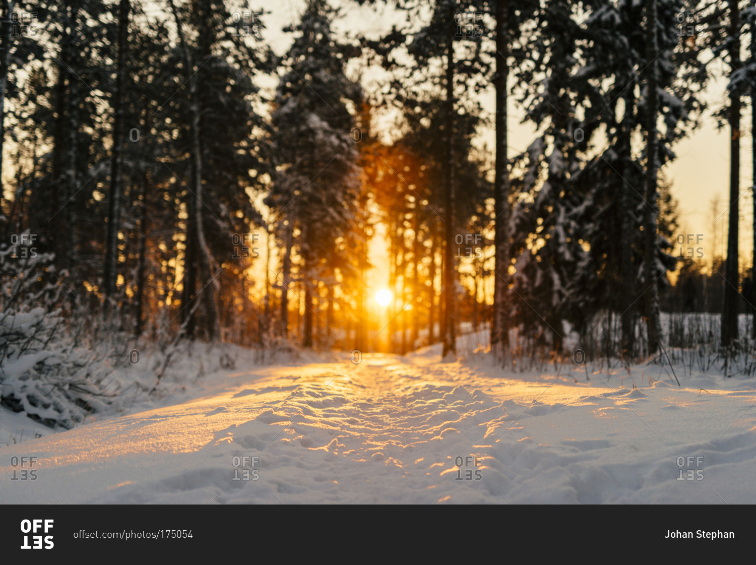 The sun setting over a snow trail in Sweden