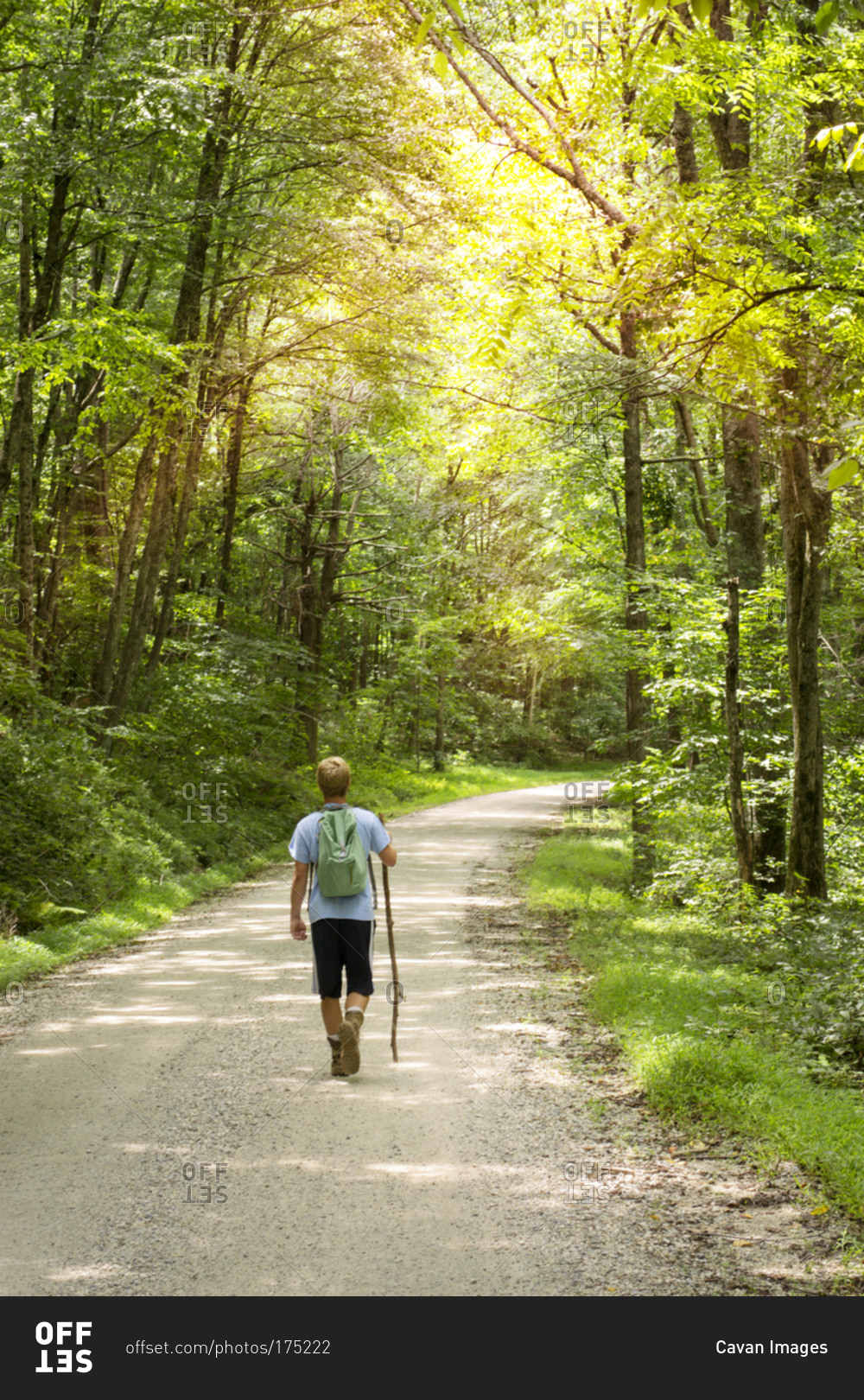 A boy walking down a path in the woods stock photo - OFFSET