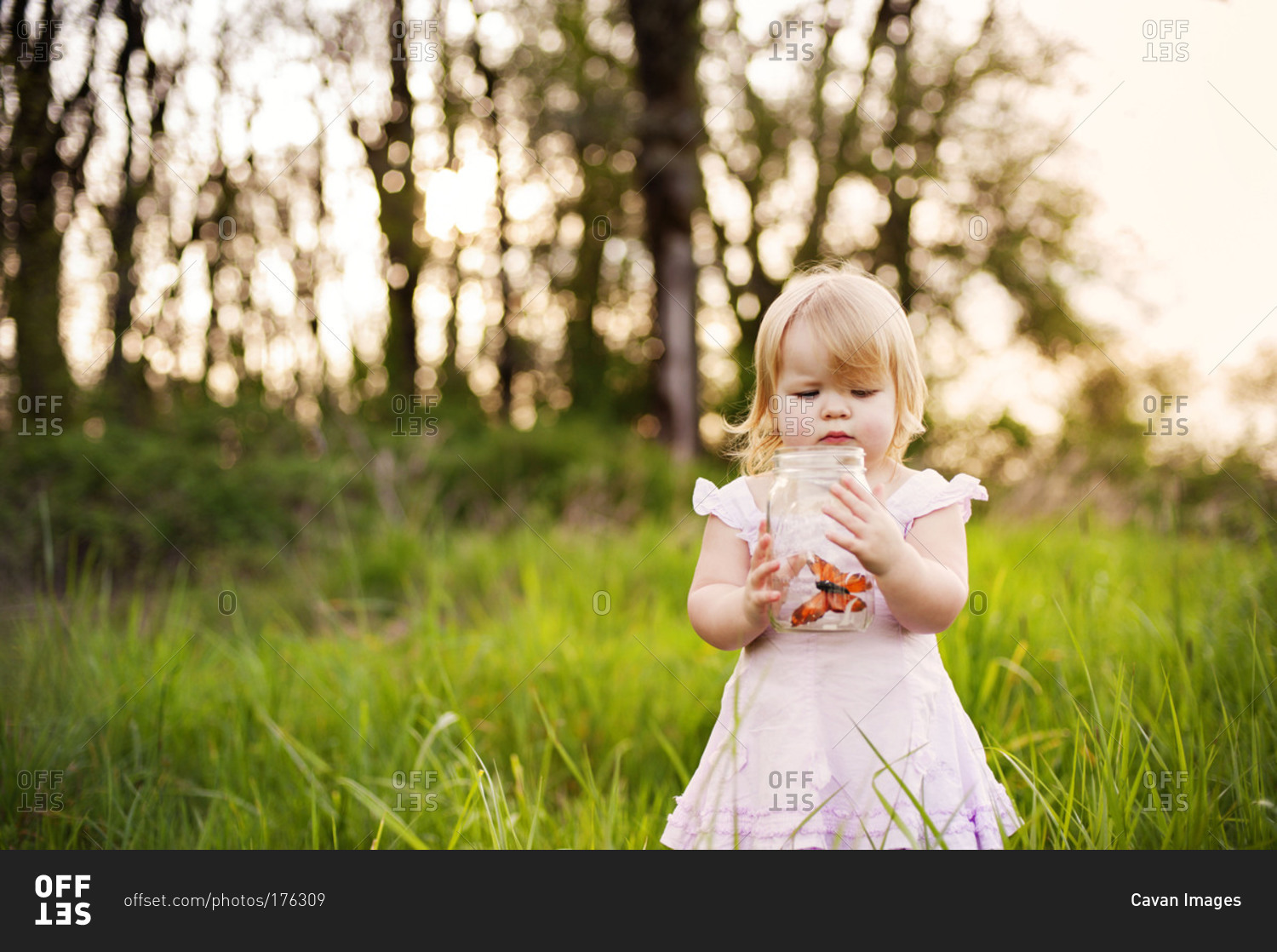 A little girl holds a butterfly in a jar