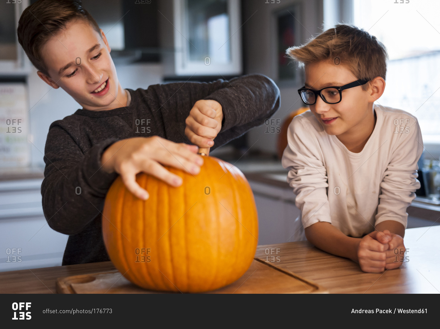 Two boys preparing a big pumpkin for Halloween lantern