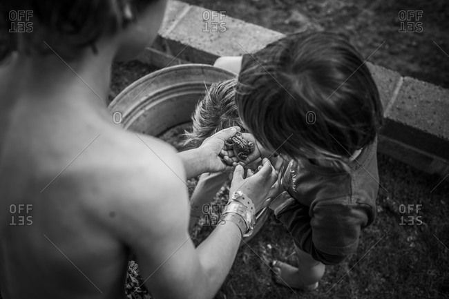 Children holding a toad