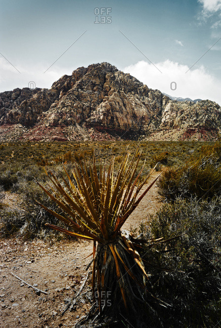 The Red Rock Canyon conservation area near Las Vegas, Nevada