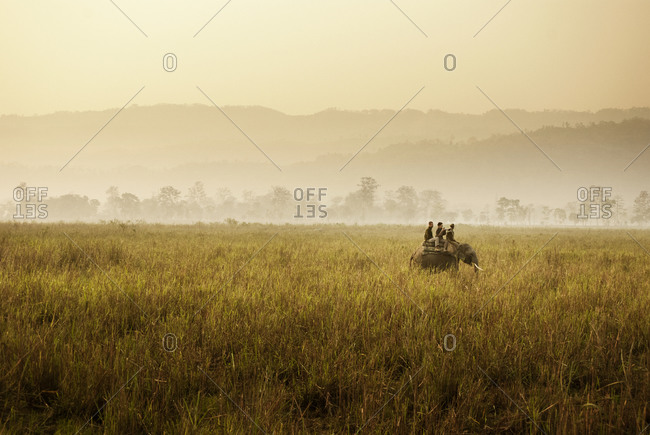 Photographers on an elephant safari in India