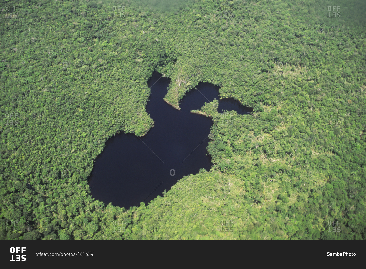 Lake in the middle of jungle seen from above