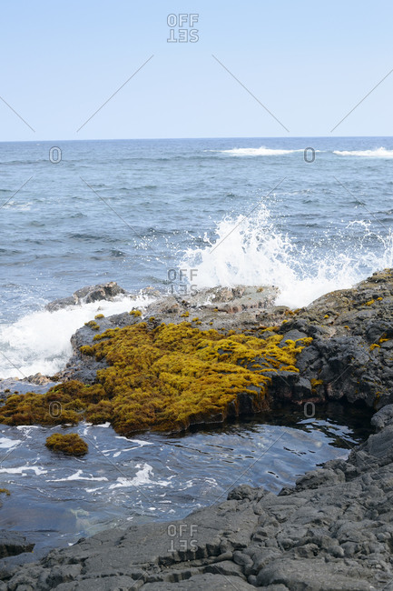 Surging billow splashing on rocks at seafront, Hawaii