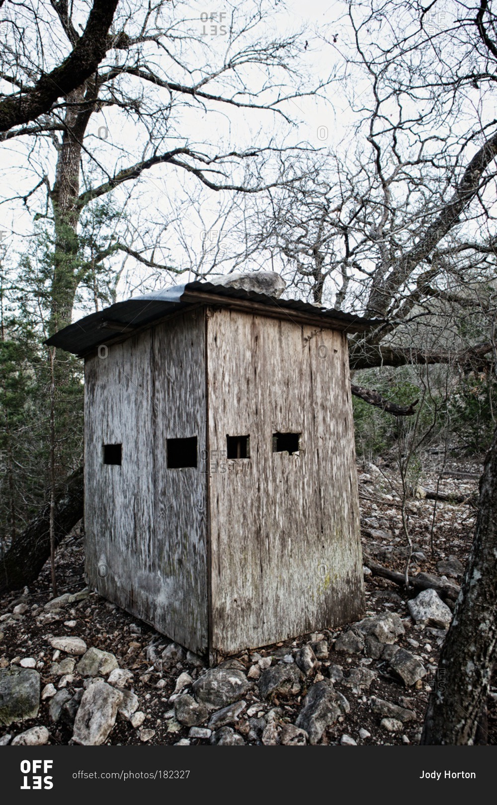Hunting blind in a forest