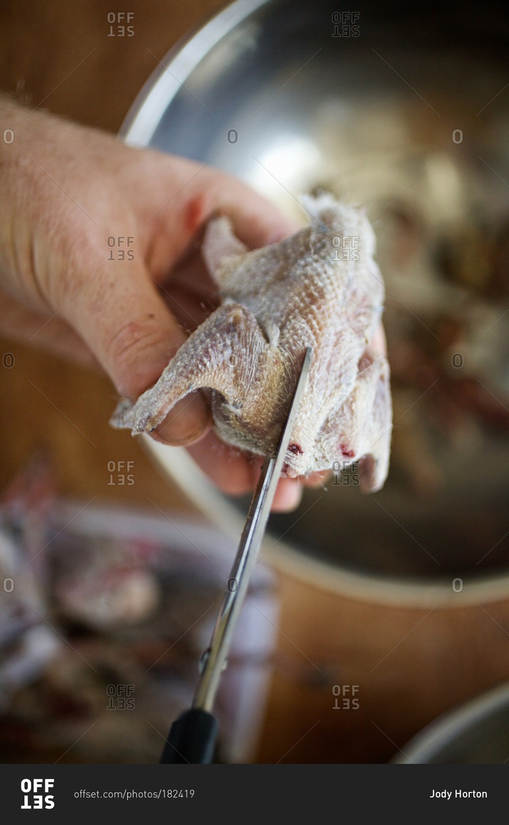Chef cutting dove meat with a scissor