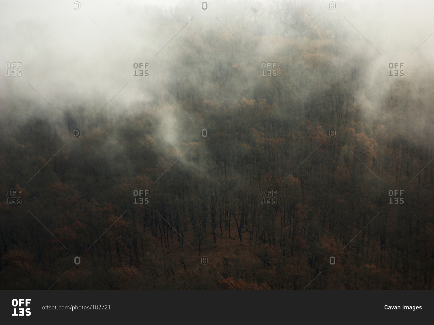Misty clouds covering a forest in Greece