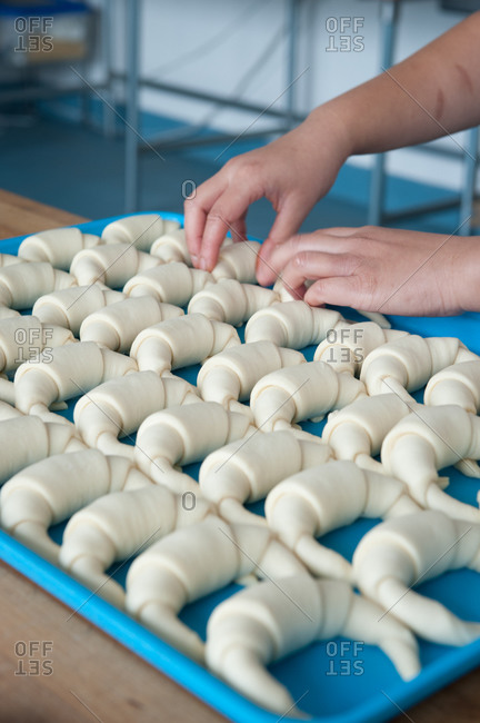 A sheet of unbaked croissants
