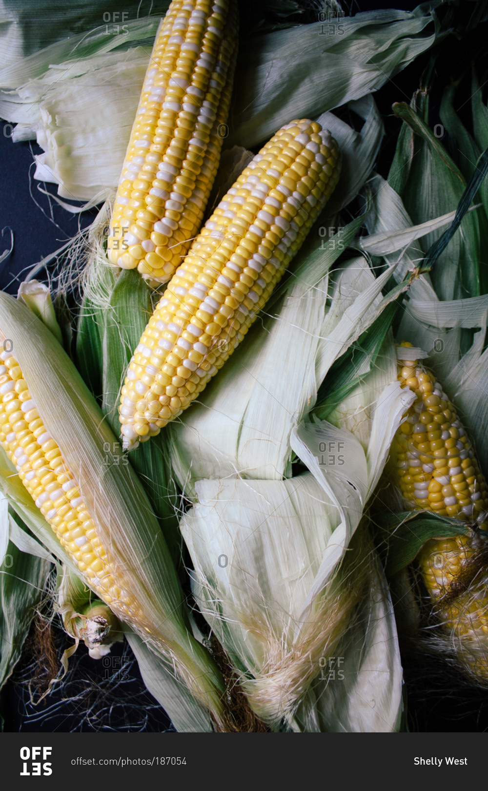 Summer corn on black background