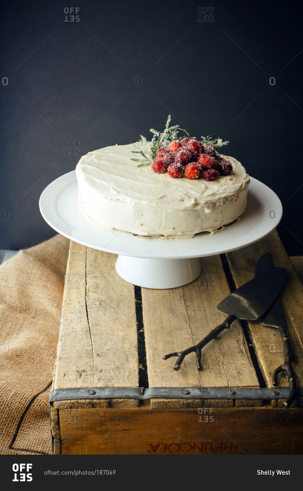 Chocolate cake with white frosting and candied rosemary and cranberries with black background