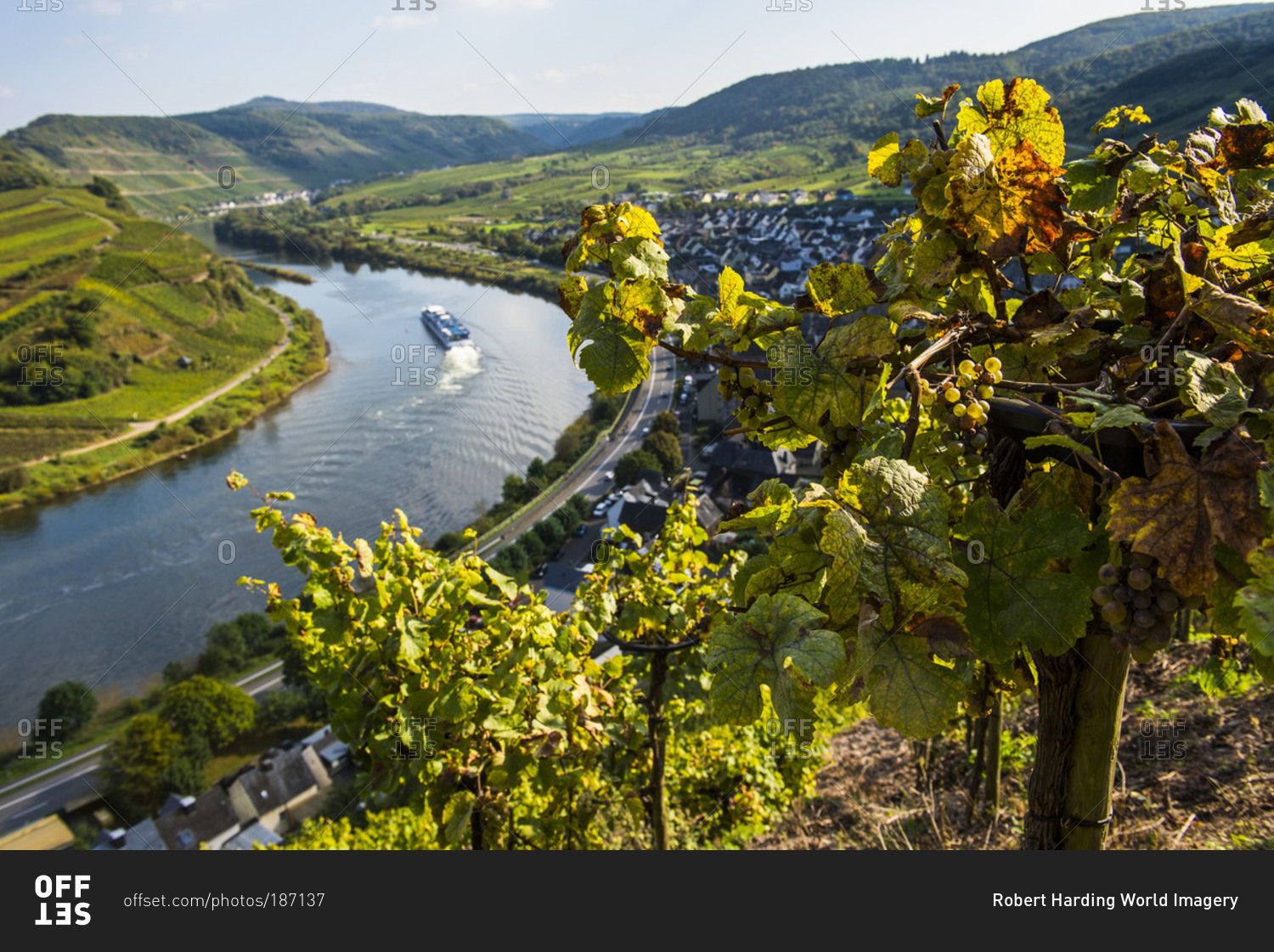 Cruise ship at the Moselle River bend at Bremm seen through the vineyards, Moselle Valley, Rhineland-Palatinate, Germany