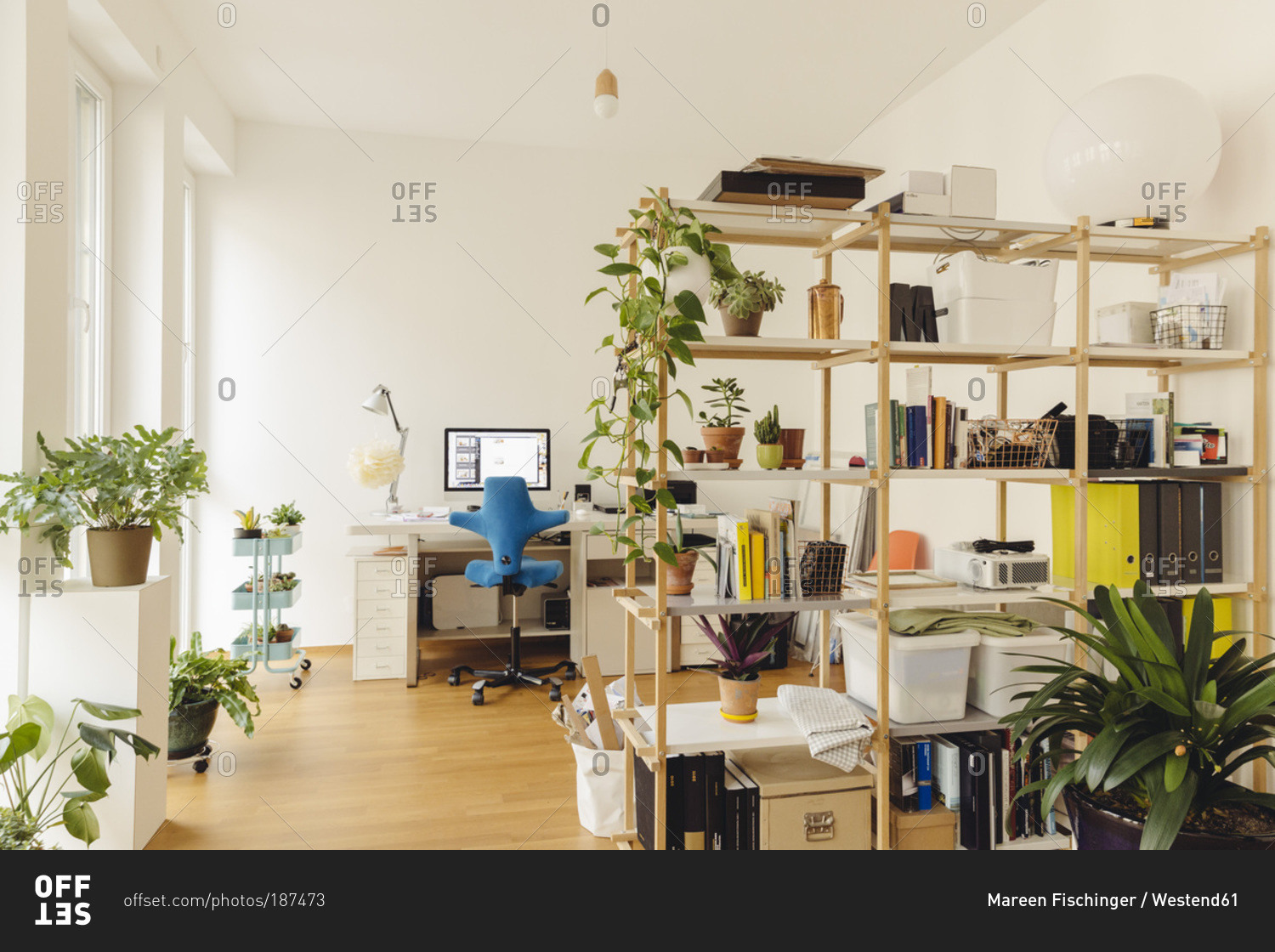 Home office with shelf and plants in modern building