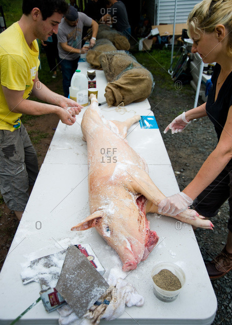 Narrowsburg, NY, USA - August 10, 2012: Chef Heather Carlucci, founder, with others putting rub on whole pig at the Pig Mountain festival