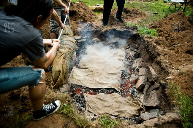 People putting whole pig into barbecue pit in ground