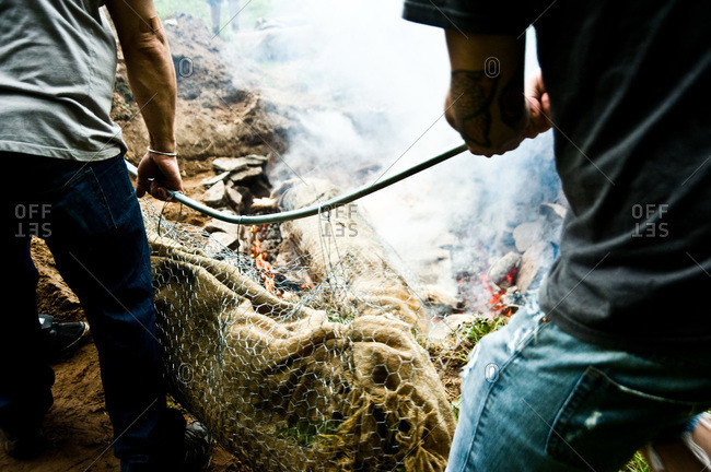 People placing whole pig into barbecue pit in ground