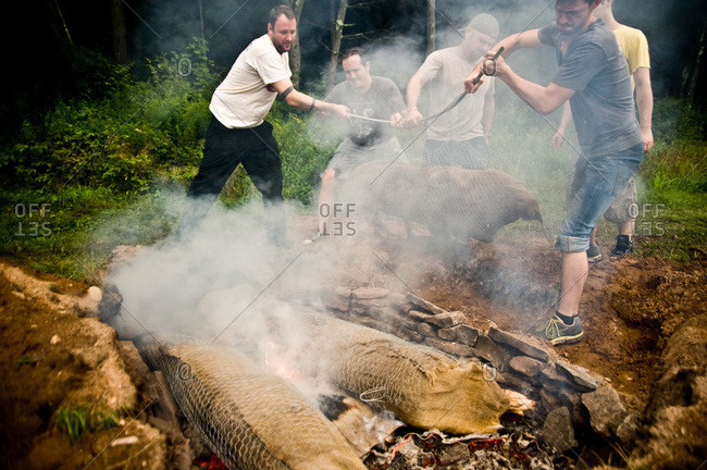 Narrowsburg, NY, USA - August 10, 2012: People placing whole pigs into barbecue pit in ground at the Pig Mountain festival