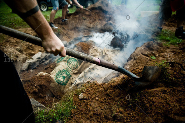 Whole pigs buried in barbecue pit in ground