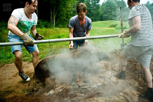Narrowsburg, NY, USA - August 11, 2012: Removing cooked pig from barbecue pit in ground at the Pig Mountain festival