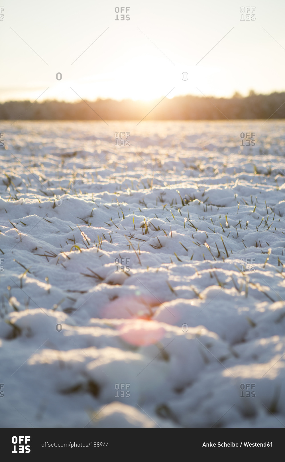 Field landscape covered with first snow