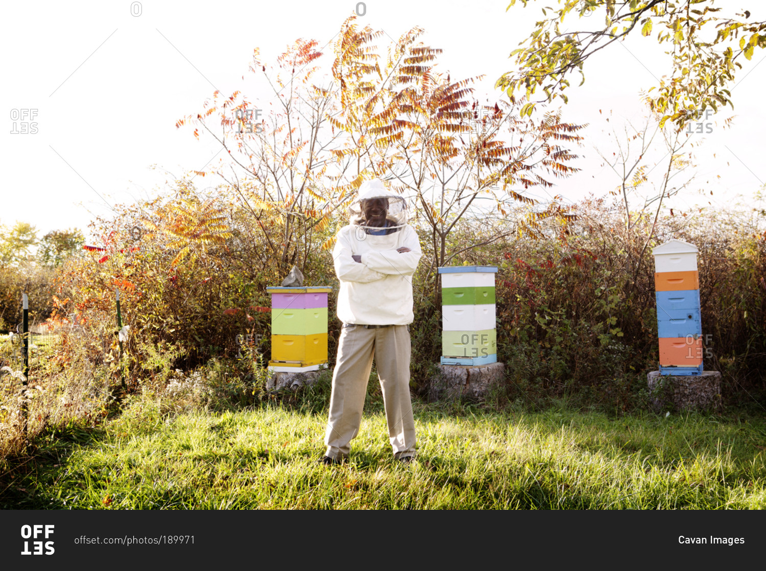 Portrait of a beekeeper standing with his hives