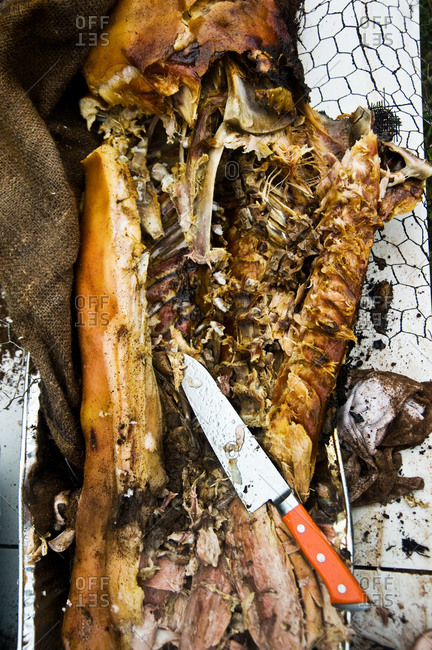 Whole pig roast with a knife