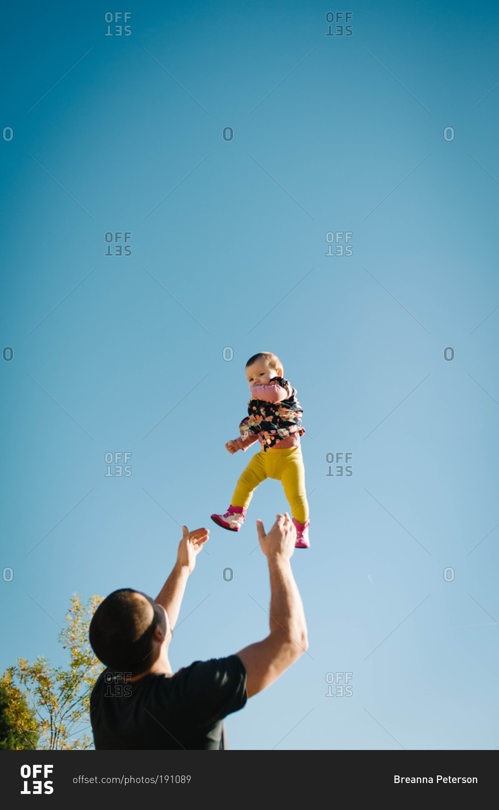 Father throwing baby in the air stock photo OFFSET