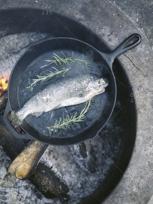 Fish In A Frying Pan Over A Fire Pit Stock Photo Offset