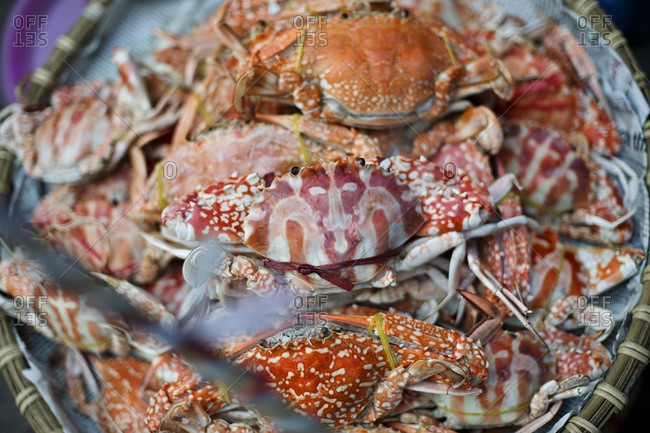 Close up of crabs in a basket