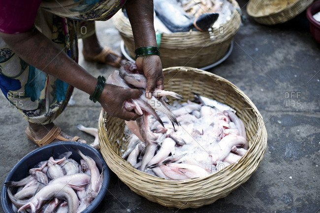 Woman sorting fresh fish - Offset